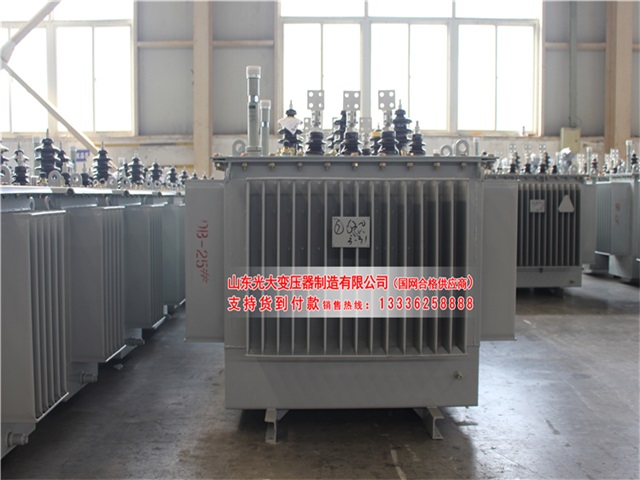 丽江S22-4000KVA油浸式变压器