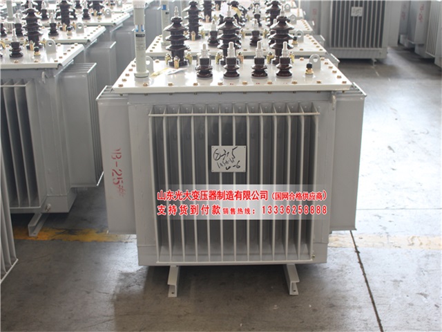 丽江S11-6300KVA油浸式变压器